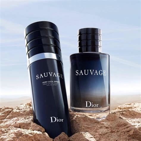 dior spray price|sauvage very cool spray Dior.